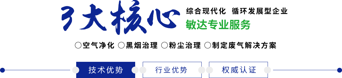 女人被男人插逼成车人的视频敏达环保科技（嘉兴）有限公司